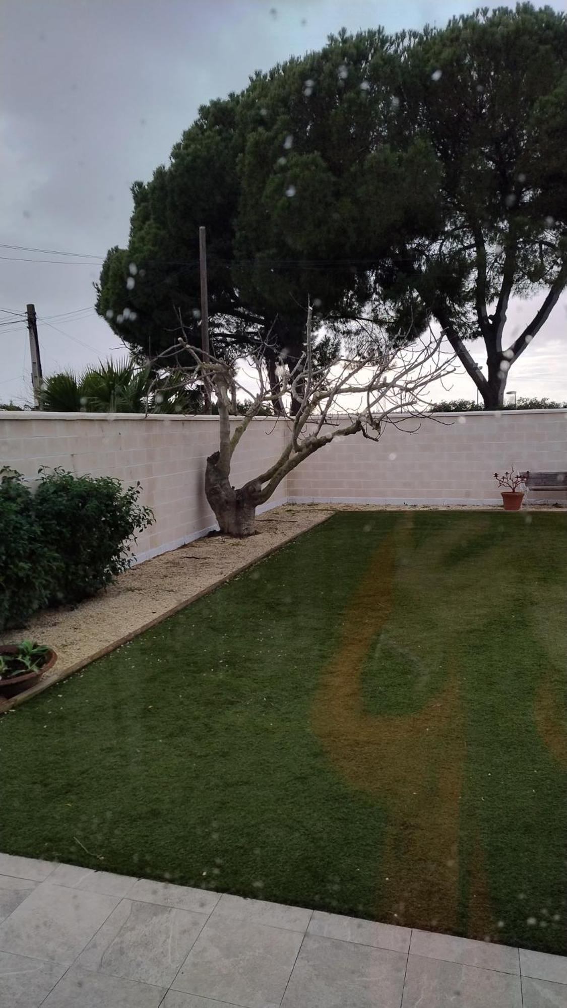 Casa Oliva 52 Lejlighed Sevilla Eksteriør billede